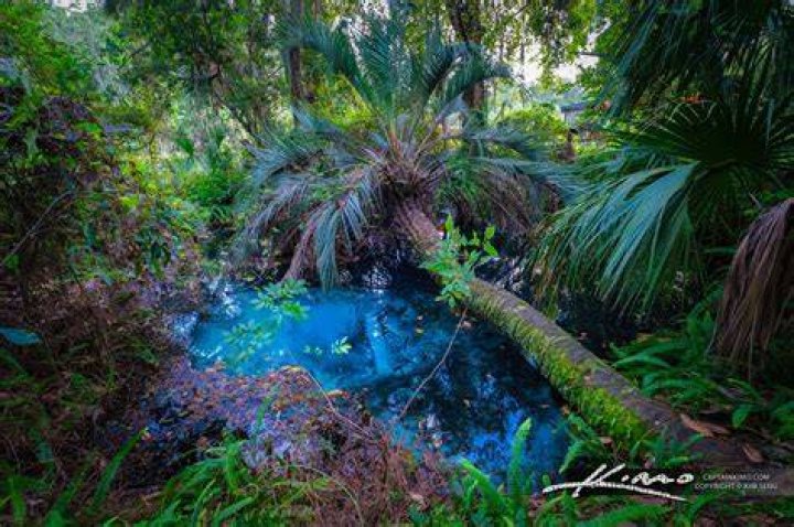 Discover The Enchanting Aubrey In Ocean Springs