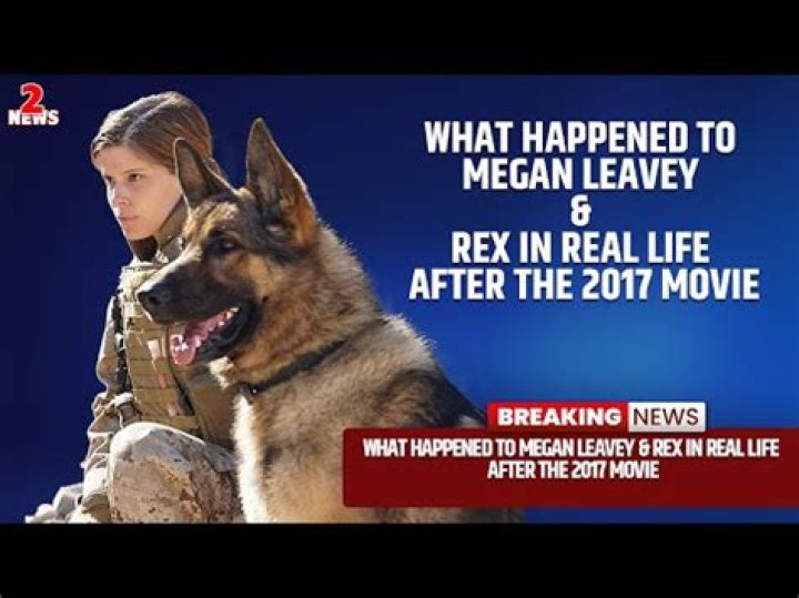 Megan Leavey: A Journey Through Love And Service