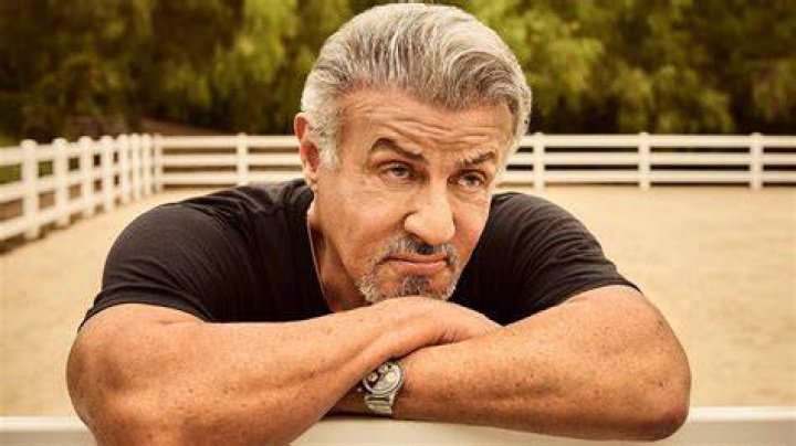 Sylvester Stallone's Weight: A Journey Through Fitness And Transformation