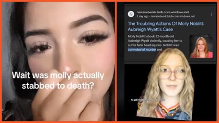 The Shocking Tale Of Molly Noblitt: A Case Of Cyberbullying With Tragic Consequences