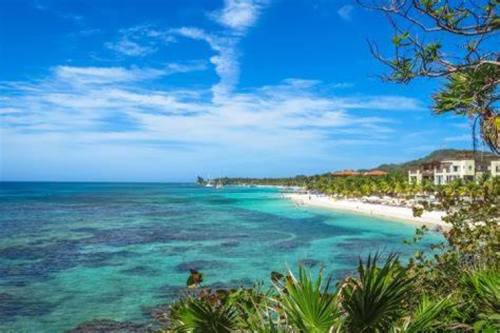 Understanding The Legal Drinking Age In Roatan, Honduras