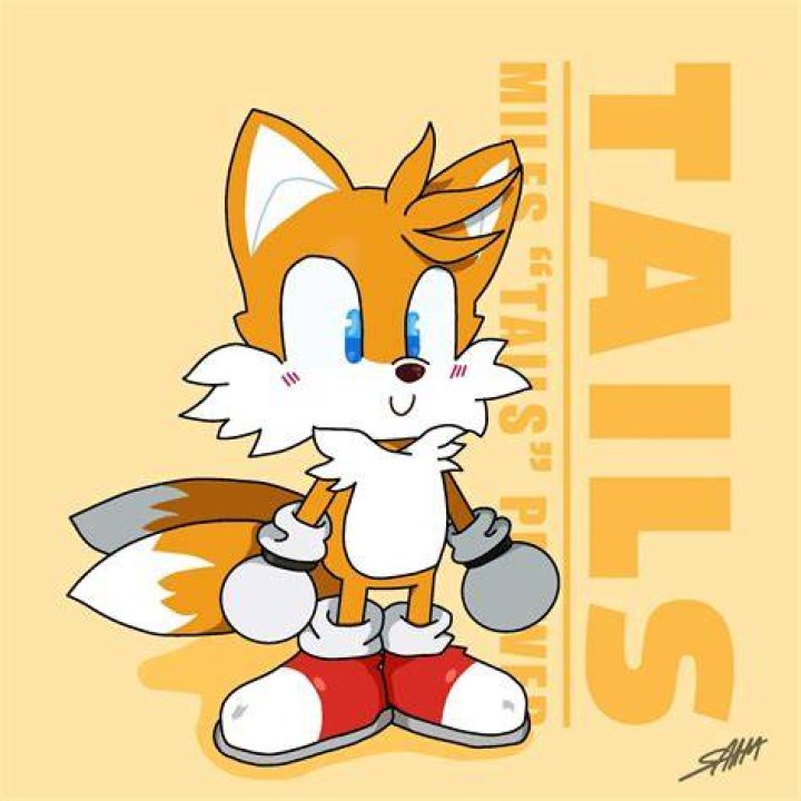 Unraveling The Mystery: How Old Is Tails The Fox?