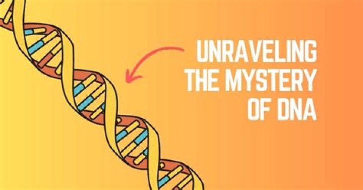 Unraveling The Mystery: Is Estelle Married?