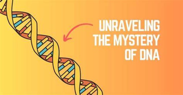 Unraveling The Mystery: Is Neil Flynn Gay?