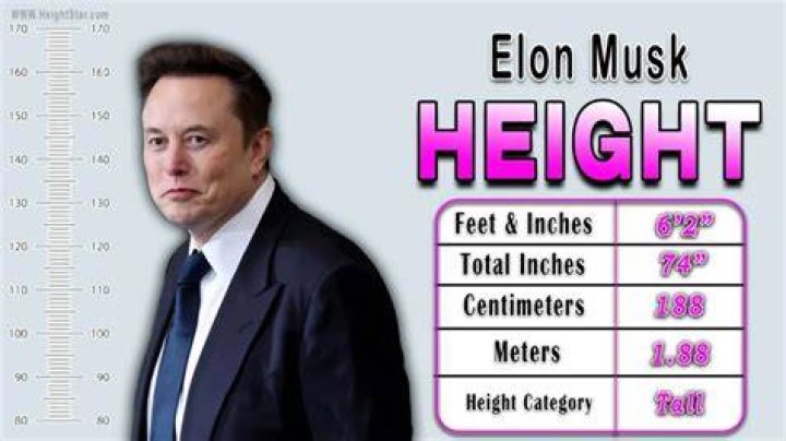 Unveiling The Height Of Visionary: How Tall Is Elon Musk?