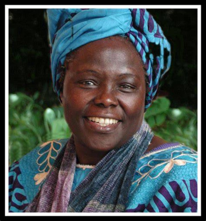 Unveiling The Life And Achievements Of Zoe Coleti