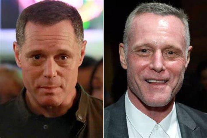 Unveiling The Life And Career Of Hank Voight Actor